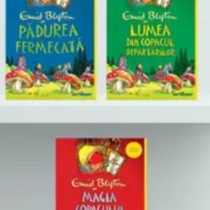 Carte citită la 4 ani și 6 ani - Copacul depărtărilor, Enud Mary Bryton